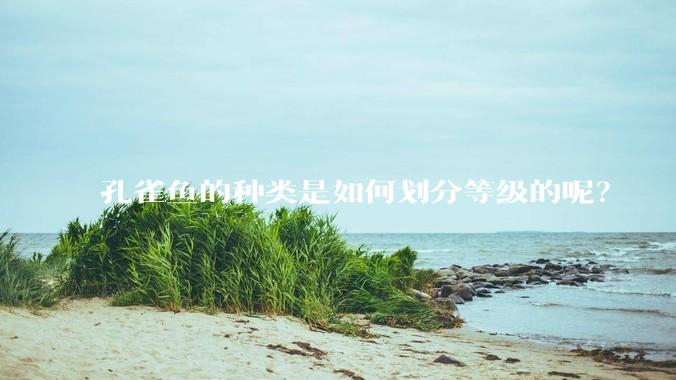 孔雀鱼的种类是如何划分等级的呢？