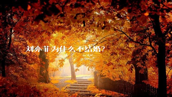 刘亦菲为什么不结婚？