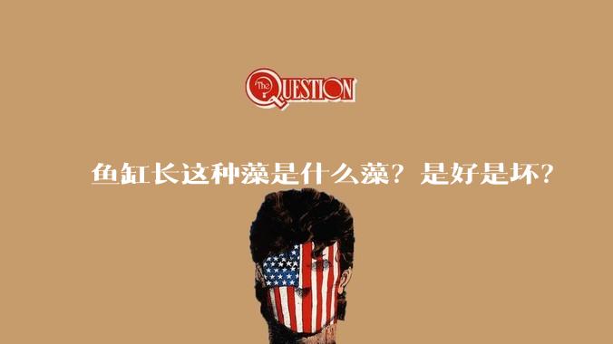 鱼缸长这种藻是什么藻？是好是坏？