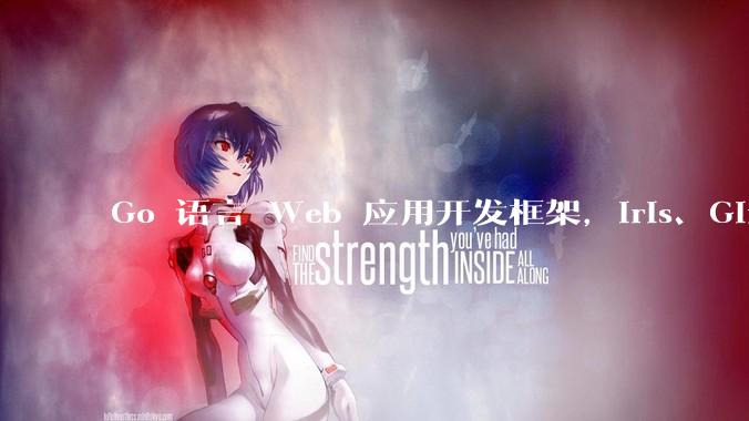 Go 语言 Web 应用开发框架，Iris、Gin、Echo，哪一个更适合大型项目？